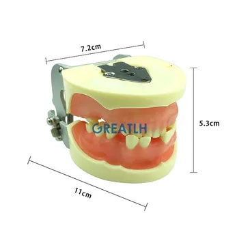 Практическая модель зубных имплантатов для практики разрезания и наложения швов Модель зубов Модель обучения стоматологии