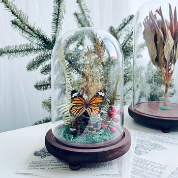 Образцы бабочек в стеклянной оболочке Образцы растений Украшения из сушеных цветов Мягкие дисплеи насекомых Подарки Экологический микро-ландшафт