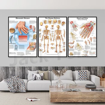 Схема скелетной системы Художественный плакат Печать Карты тела Картина на холсте Настенные панно для медицинского образования Домашний декор